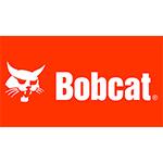 bobcat bobcat