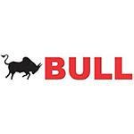 bull bull